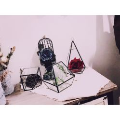 -雪儿·YuKi美甲美睫皮肤管理Salon
