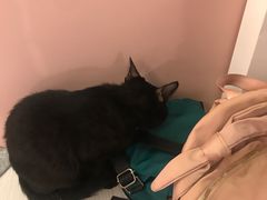 -浣熊柯尔鸭土拨鼠·电玩咖