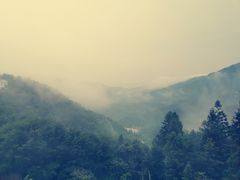 -燕子河大峡谷天坑仙境