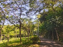 -紫马岭公园