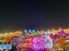 -枇杷园食为鲜火锅(南山店)