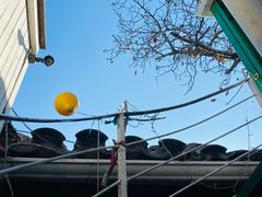 -EATALIA意塔利意式餐厅(鼓楼店)