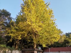 -贵州省植物园