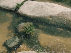 -海南热带雨林国家公园吊罗山景区
