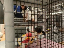 -meland club亲子乐园(重庆万象城店)