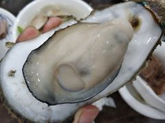 桑拿蚝-蚝专家(北滘店)