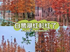 -白鹭湾湿地公园