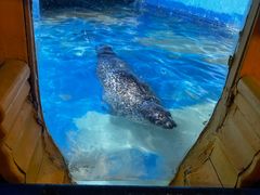 -太平洋海底世界