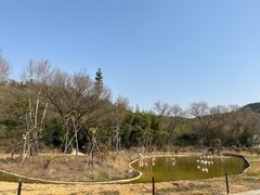 -杭州野生动物世界