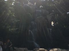 -燕塞湖鸟语林景区