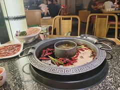 -杨肥肠火锅大排档(火车站花园店)