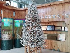 -北京鹿世界主题园