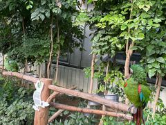 -南宫五洲植物乐园