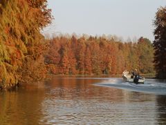 -上海海湾国家森林公园