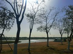 -春花秋色城市公园