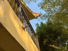 -人民公园(罗湖区)