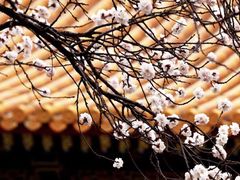 -北京颐和宾馆