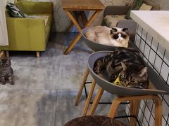 用餐区-有何Book(六堰体育馆店)