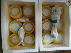 -金榜乳众不同欣记牛乳店·甜牛乳三皮奶