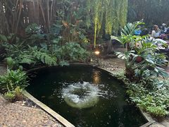 -Fern Forest Cafe