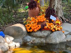 -湖泉半山温泉(湖泉生态园)