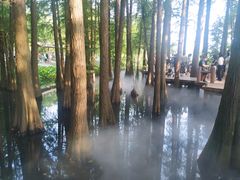 -东湖落雁景区