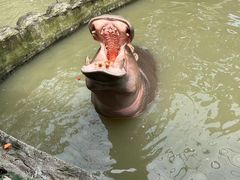 -宁波野生动物园
