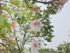 -宝墨园景区