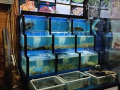 水产区-老东镇啤酒屋海鲜加工·蒸汽海鲜·海鲜烧烤(台东店)