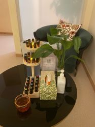 点击看大图 -隐逸SPA