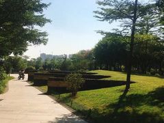 -王借岗森林公园