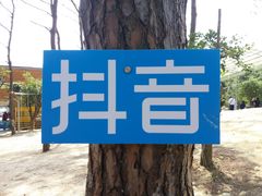 -牛鱼嘴原始生态风景区