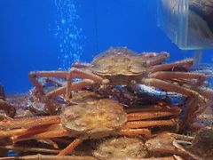 -阿伟海鲜楼·福建菜(延寿店)