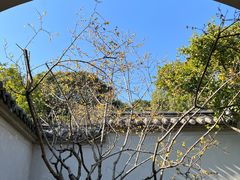 -无锡梅园公园