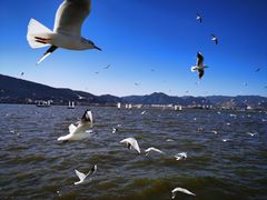 -滇池海埂公园