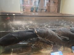 -上名堂·鱼头好吃(体育场路店)