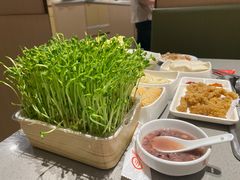 -海底捞火锅(方圆荟店)