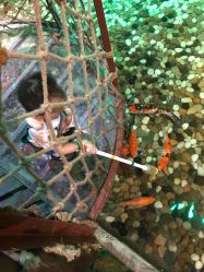 -酷嗒动物文化乐园(cutezoo西溪乐天城店)