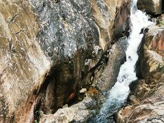 -广州白江湖森林公园