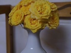 -溪岸路花鸟市场