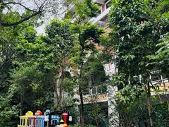 -深圳华侨城洲际大酒店