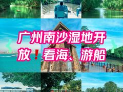 -大湾区中央湿地公园