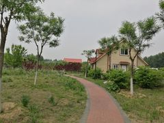 -顺鑫绿色度假村