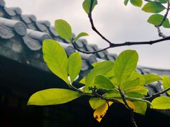 -广州神农草堂中医药博物馆