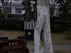 -武汉紫薇都市田园