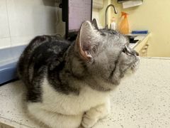 -芭比堂动物医院广州顽皮分院