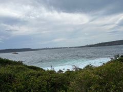 -沃森湾