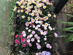 -冰冰龙虾·江湖菜·花园江景餐厅