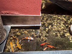 -颐和•海鲜砂锅粥•啫啫煲(奥林匹克广场店)