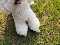 -圣宠动物医院·犬猫专科·影像中心·外科中心